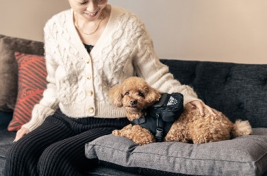 [그랜드 머큐어 앰배서더 호텔 앤 레지던스 서울 용산] MONG-Friendly Service with PXG