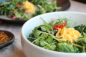 [Fresh 365 Dining] FEEL THE TASTE OF SPRING