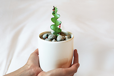 My Little Baby🌵