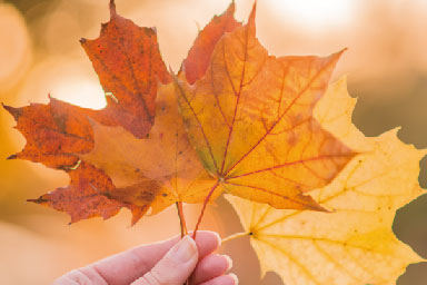 Autumn Special 9월 주중 PKG