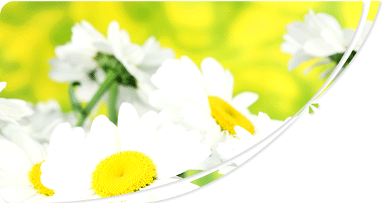 Spring Breeze Package